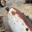 ford-8n-image-17