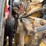 1989-peterbilt-379-image-60