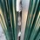 #2874-•-2026-unused-module-livestock-shelter-image-17