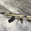 #10693-•-norinco-sks,-7.62x39-semi-auto-rifle,-sn:-8068474-image-2