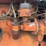 allis-chalmers-ca-image-36