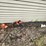 #6155-•-(3)-pole-saws-image-1