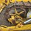 caterpillar-fifteen-image-47