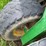 john-deere-40-image-22