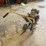 #250-•-rotary-tiller-image-3