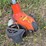 #132-•-echo-weed-whipper-metal-attachecho-weed-whipper-metal-attachment-image-2