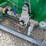 #l64-015-•-jct-sandblaster-image-11