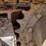 jt-3020-ditch-witch-(qea-4548)-image-11