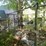 #6181-•-dog-kennel-image-8