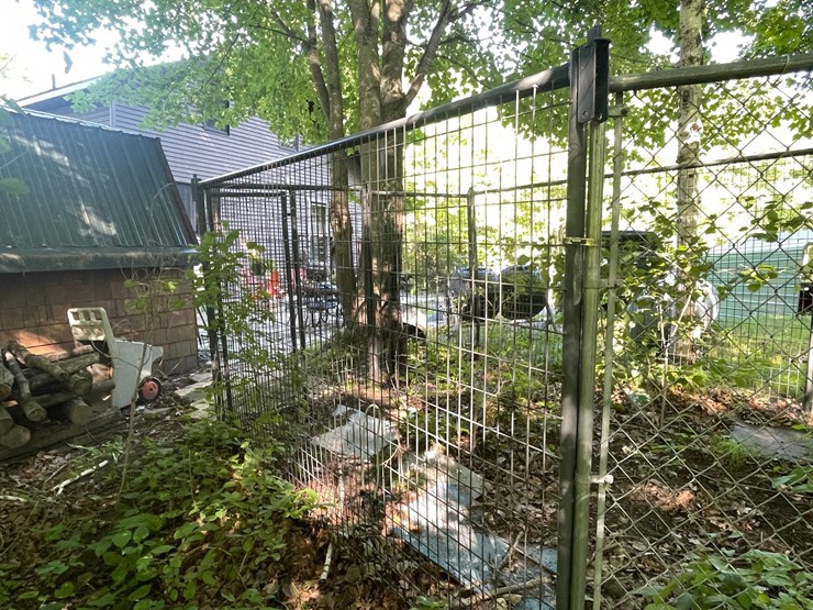 #6181-•-dog-kennel-image-8