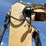 2007-caterpillar-315c-image-24