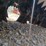 #l65-027-•-lanch-flail-mower-mini-excavator-attachment-image-9