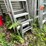 #6161-•-(4)-ladders-image-2