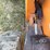 #52619-•-case-construction-king-rough-terrain-forklift-inv#52619-image-52
