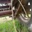 #52637-•-t/a-16'-utility-trailer-inv#52637-image-10
