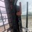 2019-bobcat-t770-image-8