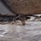 07-dierzen-end-dump-trailer^title^-(qea-4634)-image-14