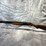 #10651-•-weatherby-orion-i,-12-ga.-break-action-shotgun,-sn:-tr7884-au016971-image-3