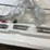 #10661-•-impala-plus-nero-desert,-12-ga.-semi-auto-shotgun,-sn:-60-h23yt-001382-image-17