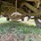 2002-chevrolet-silverado-2500hd-image-12