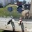 2023-timpte-super-hopper-image-9