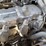 2019-caterpillar-2c6000-image-40