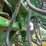 john-deere-1790-image-54