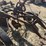 #404-•-antique-two-bottom-plow-image-7