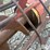westfield-wr80-41-electric-motor-auger-image-11