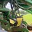 john-deere-1790-image-55