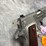 #10853-•-colt-model-70,-45-auto-semi-auto-pistol,-sn:-gv066584-image-4