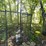 #6181-•-dog-kennel-image-9