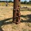 #52617-•-t/a-8'-24'-gooseneck-flatbed-trailer-inv#52617-image-78