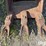 2009-central-fabricators-60-cu-yd-excavator-bucket-image-12