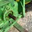 john-deere-1530-image-6
