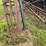 #52651-•-case-ih-335-vt-38'-vertical-tillage-tool-yfd079741-inv#52651-image-18