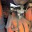 allis-chalmers-ca-image-13