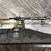 #10695-•-springfield-saint-victor-,-556-nato-semi-auto-rifle,-sn:-st539897-image-1