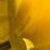 john-deere-40-image-68