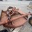 bush-hog-305-image-9