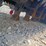 #l65-038-•-lanch-flail-mower-mini-skid-steer-attachment-image-9