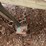 #1243-•-tow-bar-image-5