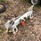 #6132-•-quick-attach-frame-image-2