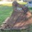 21"-tooth-excavator-bucket-image-6