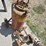 #121-•-paint-line-sprayer-image-4