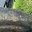 case-ih-4390t-image-8