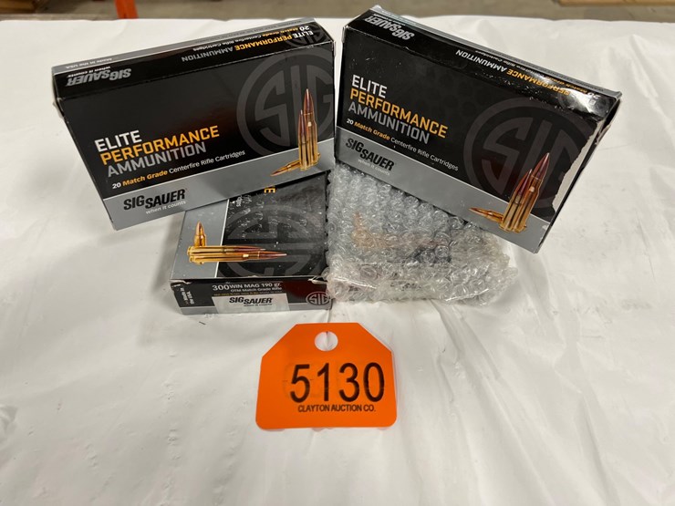 #5130-•-sig-sauer-300-win-mag-ammo-image-1