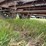 #52637-•-t/a-16'-utility-trailer-inv#52637-image-11