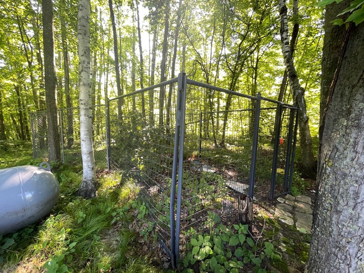 #6181-•-dog-kennel-image-10