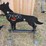 #7050-•-3/8-in-ar500-steel-coyote-shooting-target-with-heart-flapper-image-1